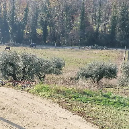 Le Vecchie Scuderie *