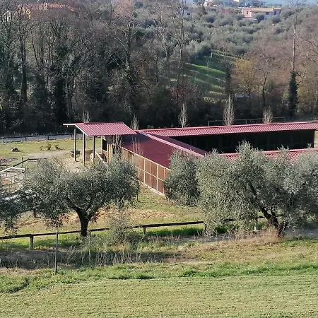 Le Vecchie Scuderie Farm stay Passo Corese