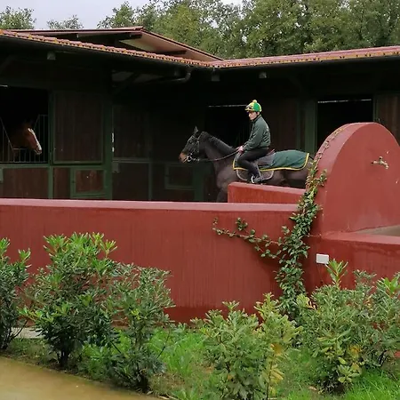 Le Vecchie Scuderie Passo Corese