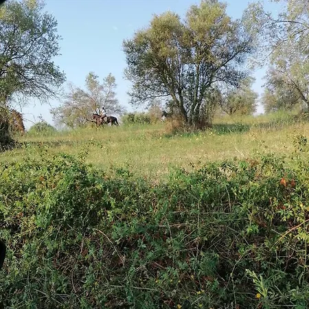 Le Vecchie Scuderie Farm stay