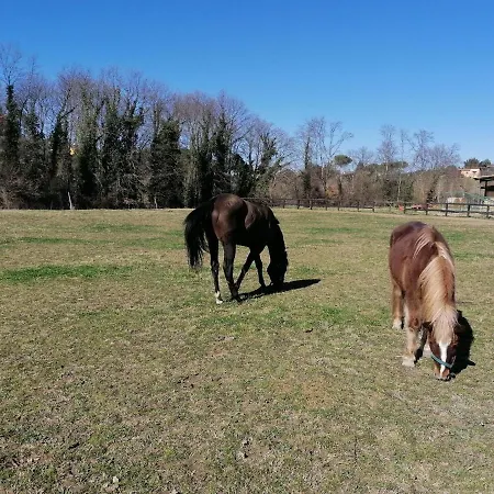Le Vecchie Scuderie * Passo Corese