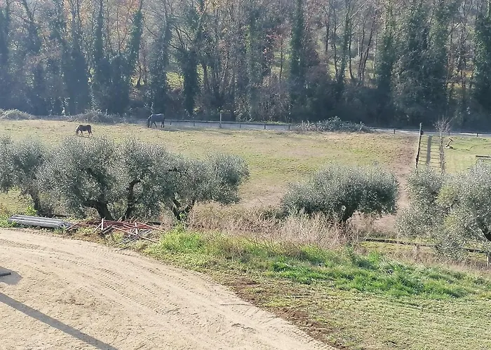 Le Vecchie Scuderie *