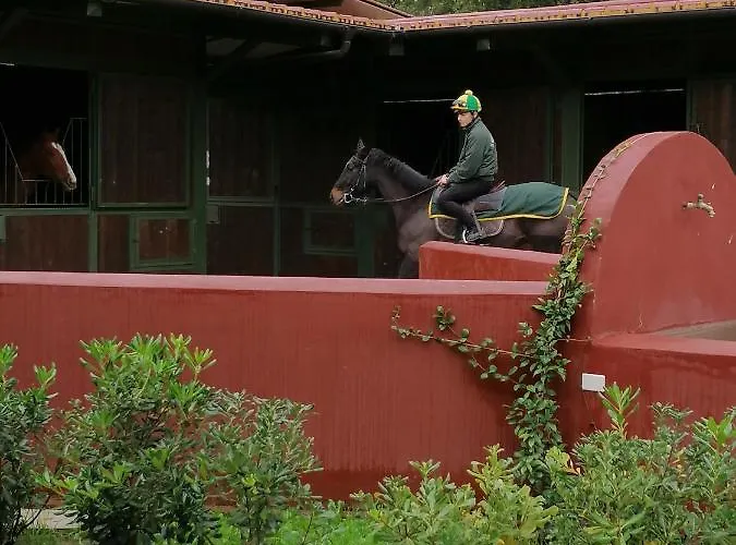 Le Vecchie Scuderie Passo Corese