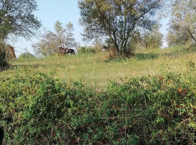 Le Vecchie Scuderie Alojamento de Turismo Rural
